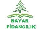 Bayar Fidancılık - Isparta